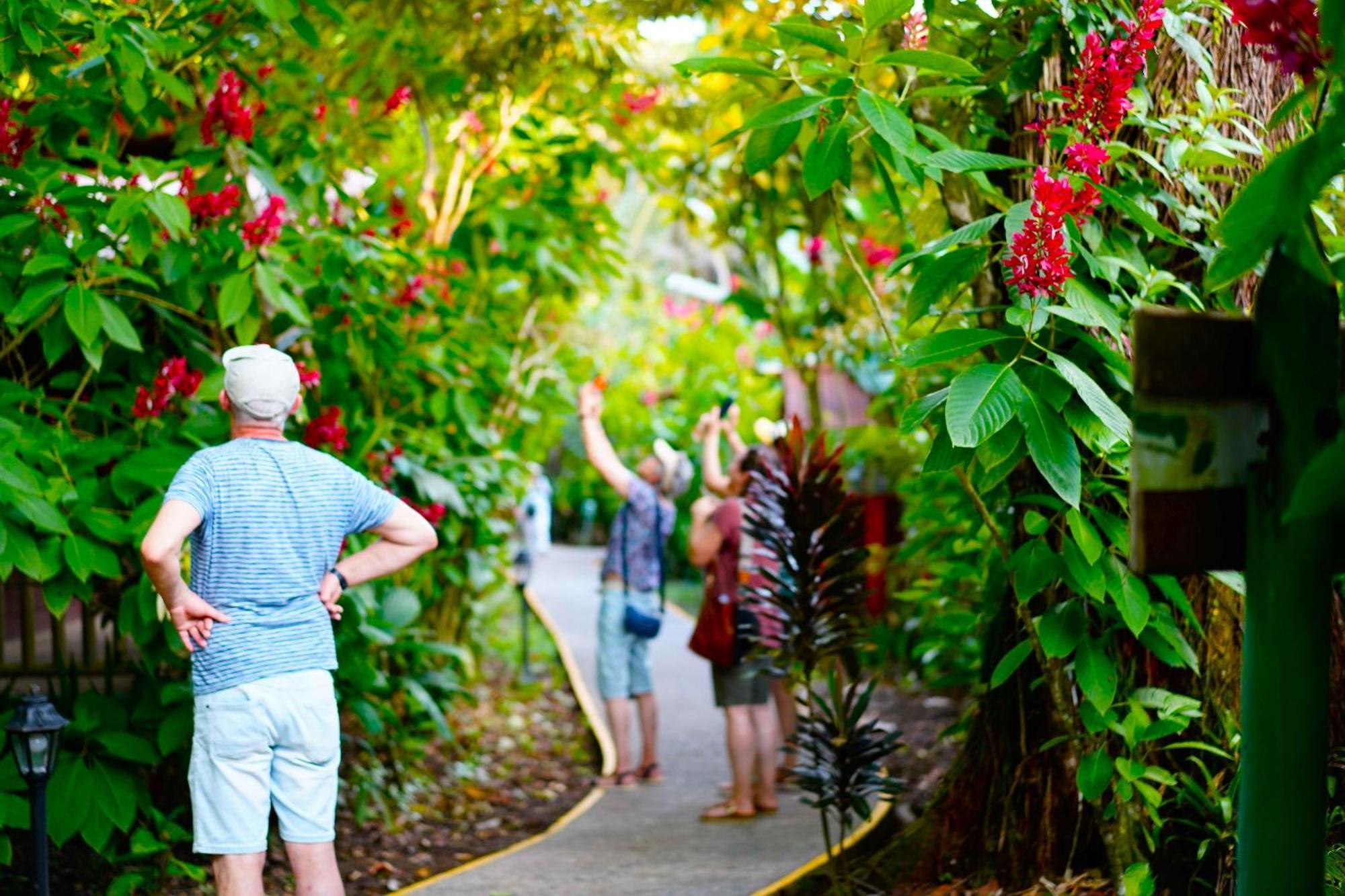 Evergreen Lodge ตอร์ตูเกโร ภายนอก รูปภาพ