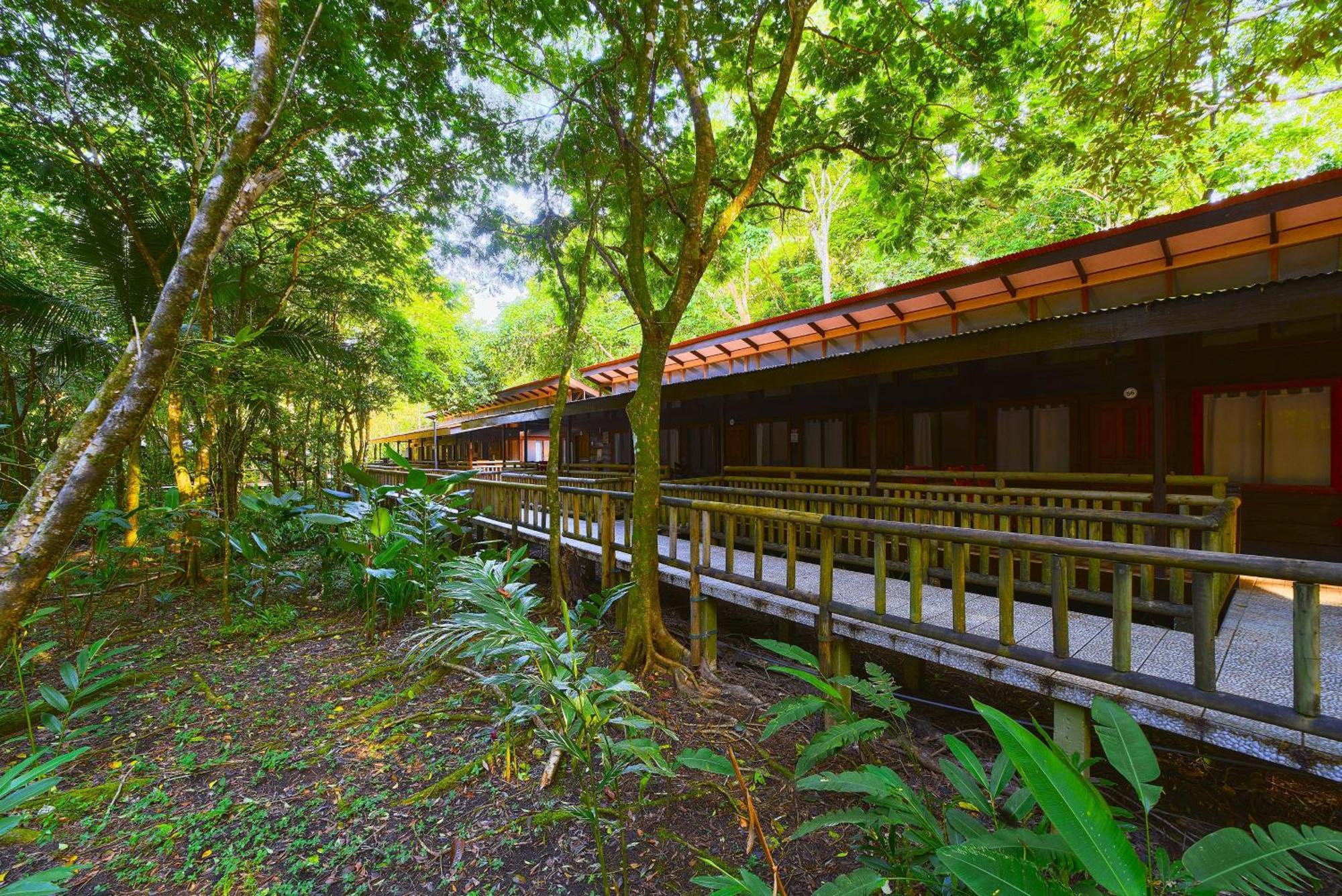 Evergreen Lodge ตอร์ตูเกโร ภายนอก รูปภาพ