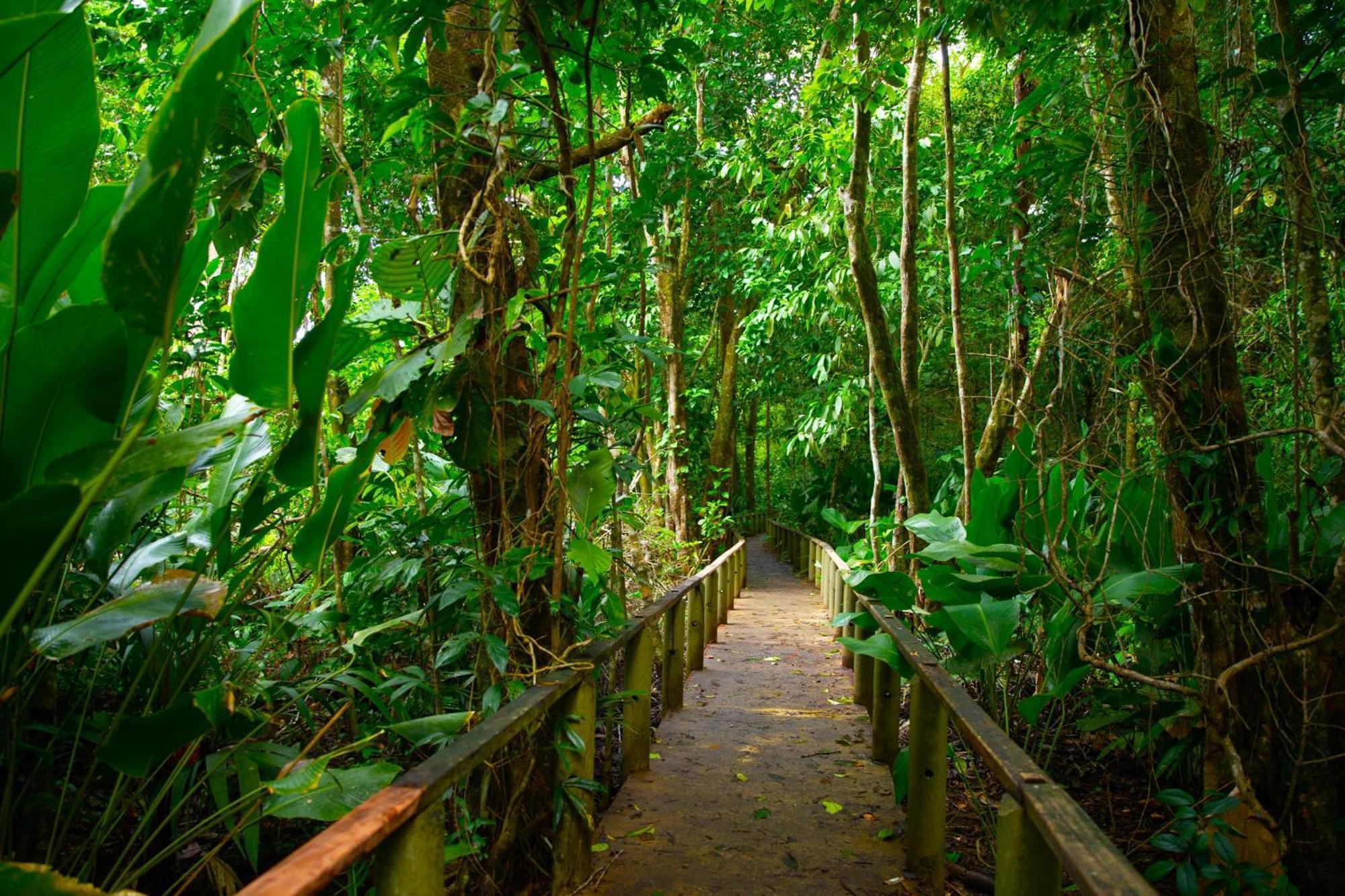 Evergreen Lodge ตอร์ตูเกโร ภายนอก รูปภาพ