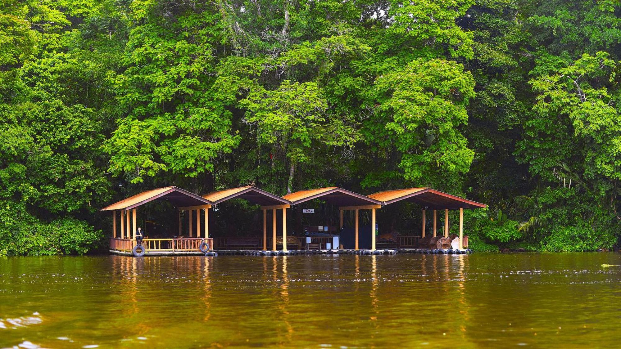 Evergreen Lodge ตอร์ตูเกโร ภายนอก รูปภาพ
