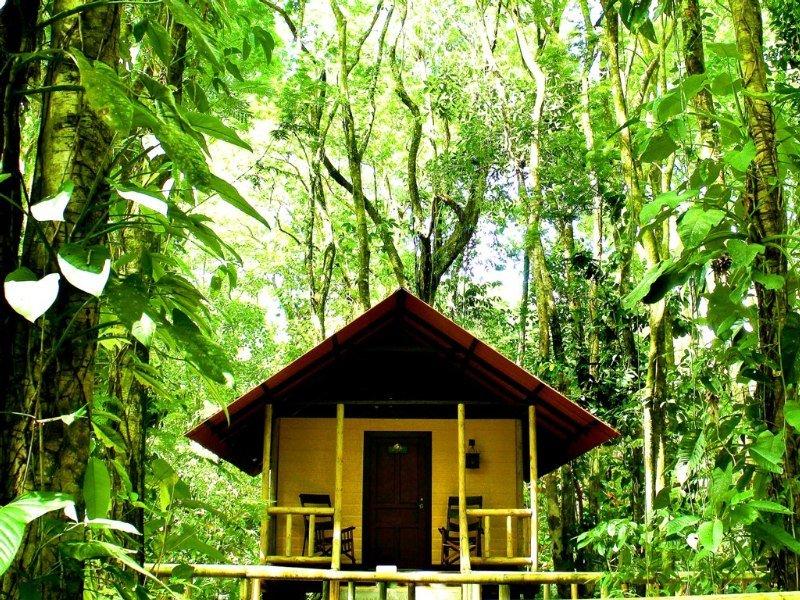 Evergreen Lodge ตอร์ตูเกโร ภายนอก รูปภาพ