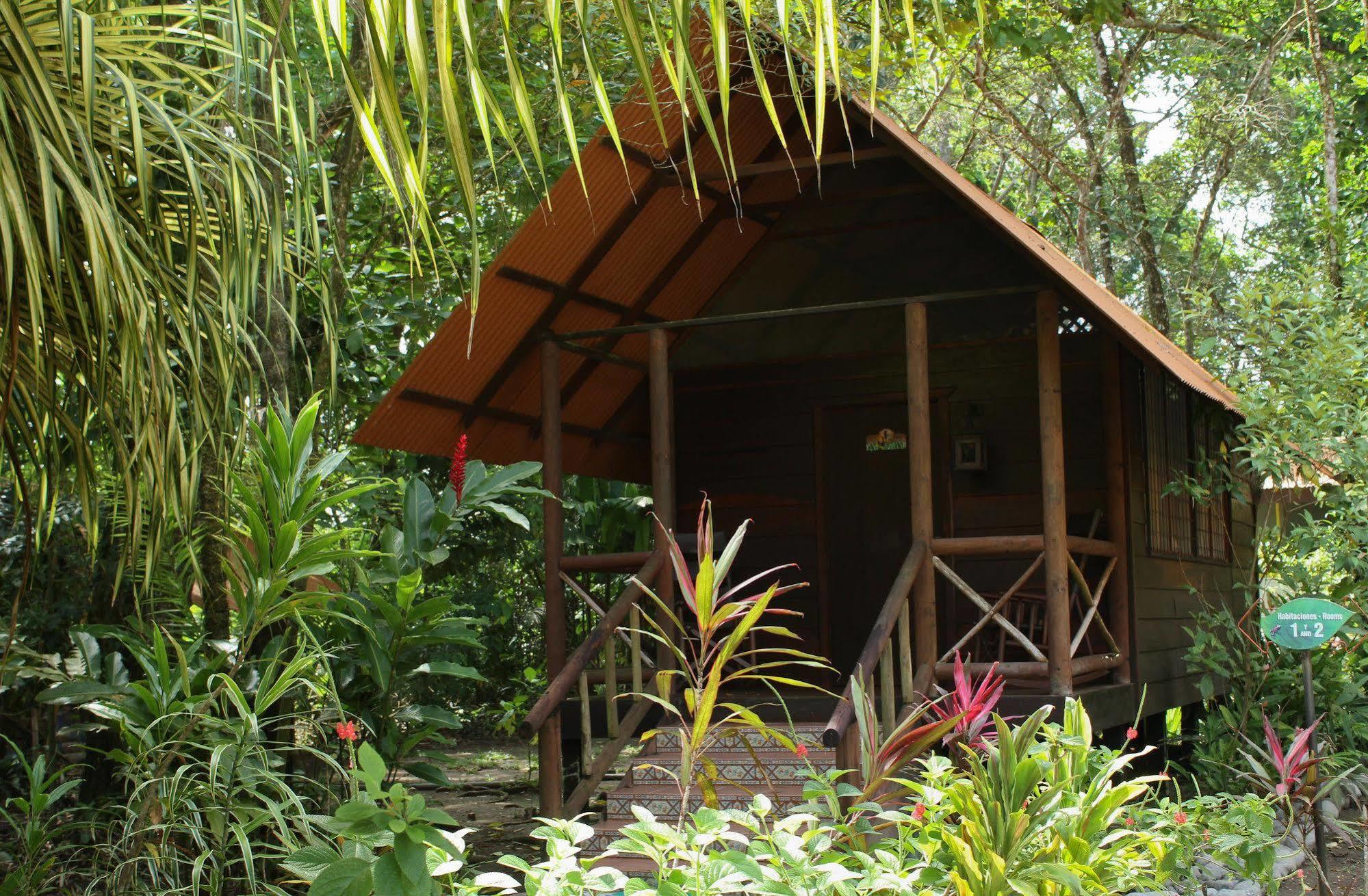 Evergreen Lodge ตอร์ตูเกโร ภายนอก รูปภาพ