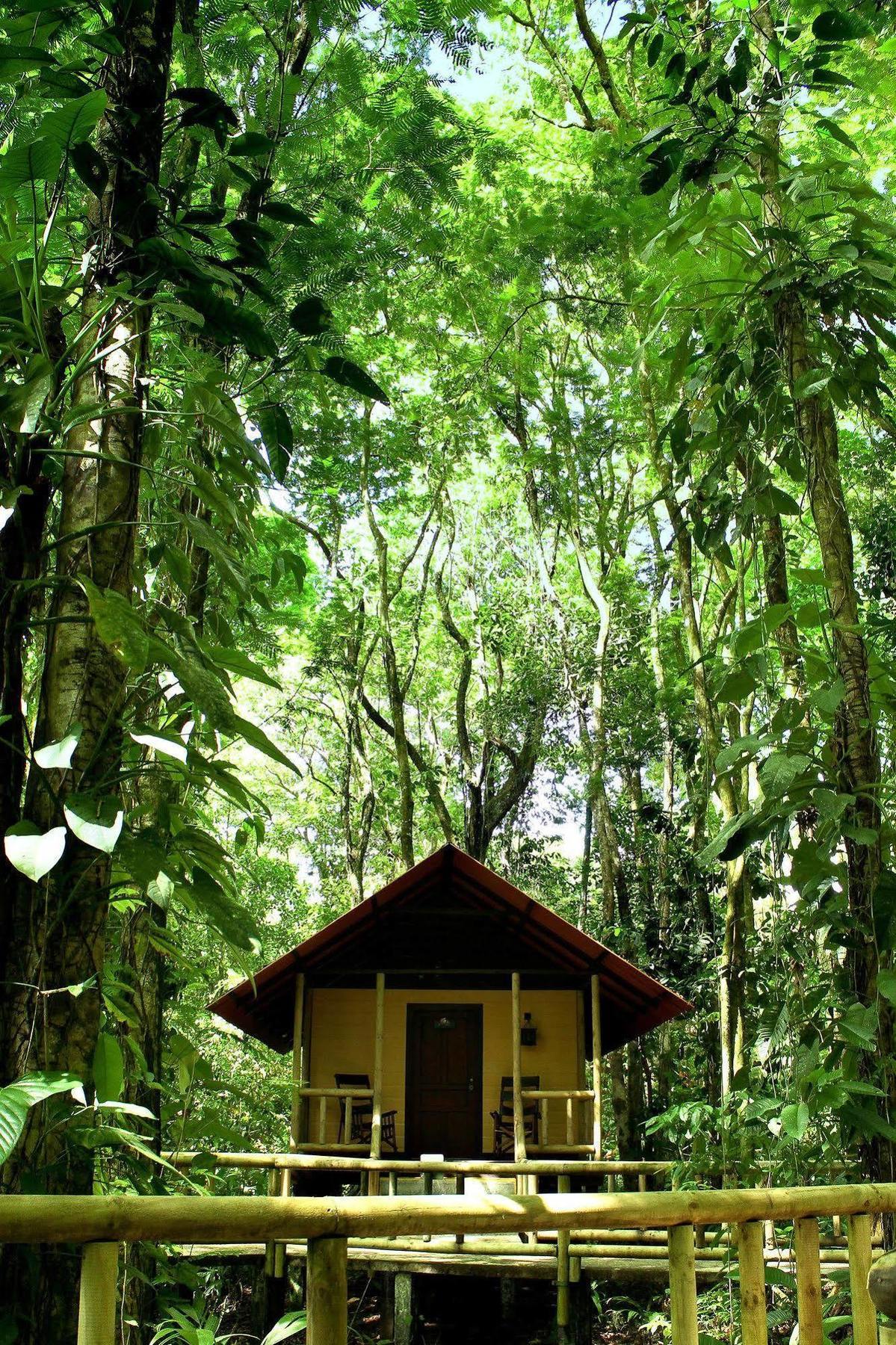 Evergreen Lodge ตอร์ตูเกโร ภายนอก รูปภาพ