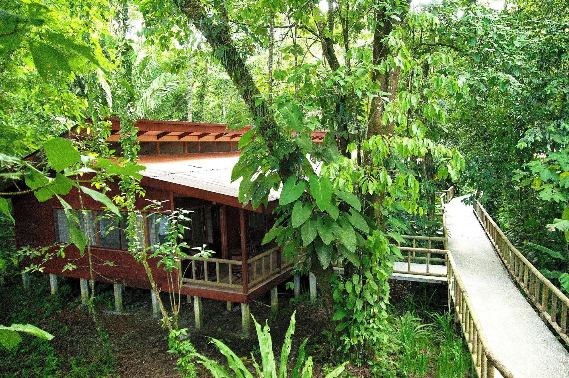 Evergreen Lodge ตอร์ตูเกโร ภายนอก รูปภาพ